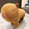 Усиленная