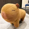 Усиленная + колёсики