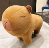 Стандартная + колёсики