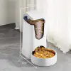 С