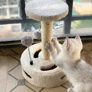 Когтеточка для кошек. PH-71865 - миниатюра 5