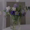 Прозрачный + черный