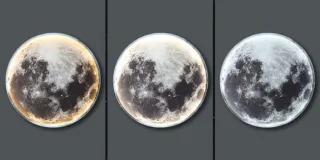 Настінний декор MOON. Модель RD-5559 - миниатюра 19