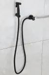 Модель В